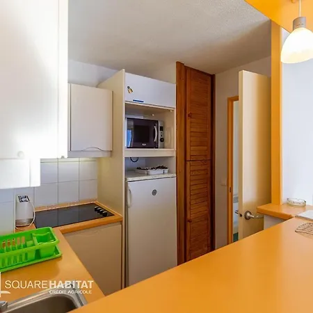 Appartement Pied Des Pistes, Plein Sud, Draps Non Inclus, Menage En Auto Gestion
